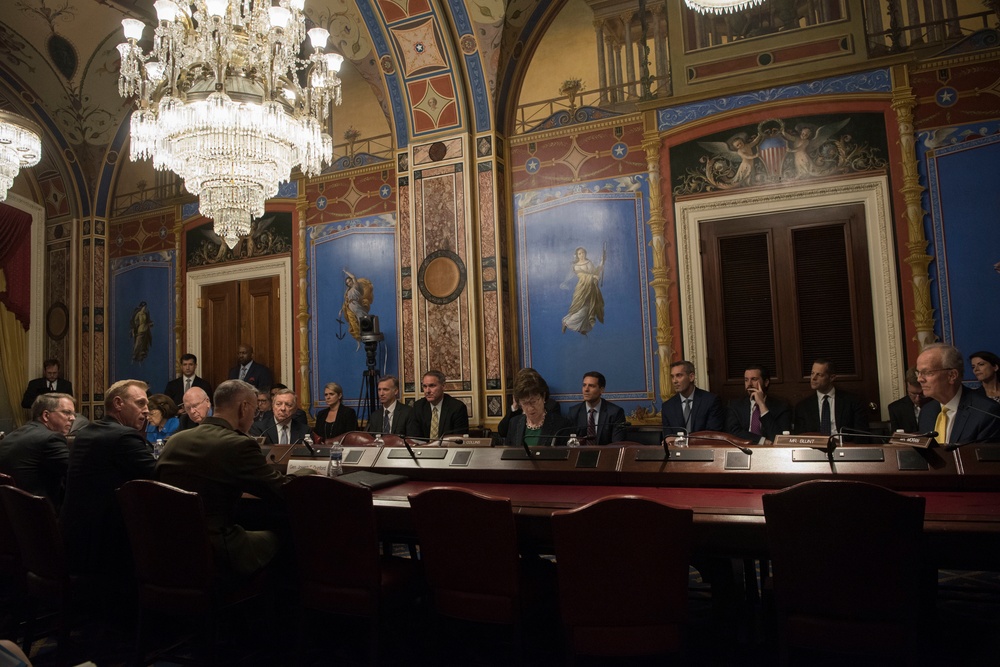 DOD Leaders Testify on Defense Budget Request