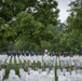 Arlington National Cemetery