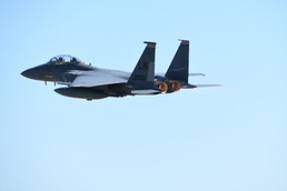 494th Fighter Squadron participates in exercise Checkered Flag 19-1