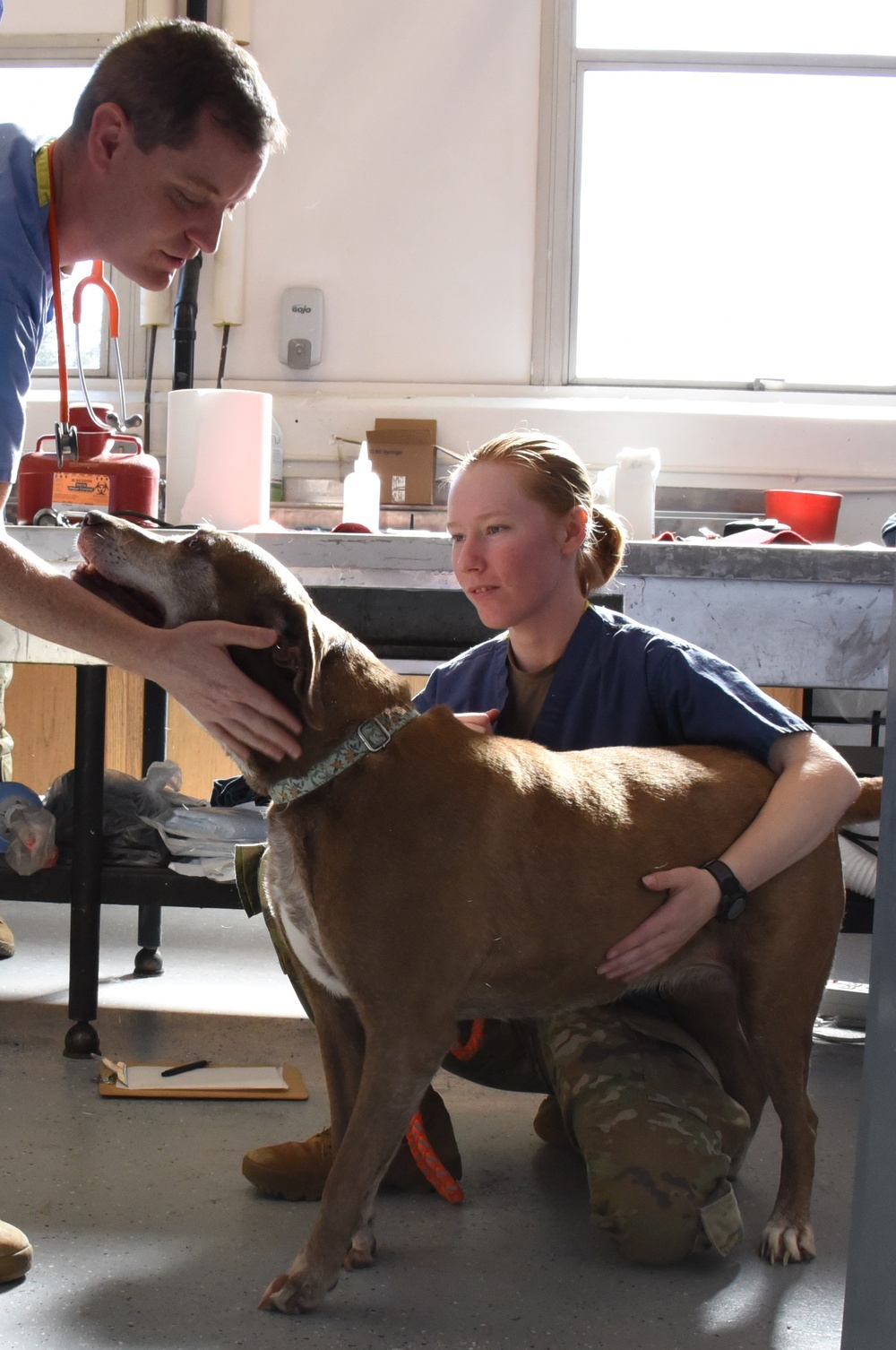 JBER Veterinary Clinic comes to Kodiak for biennial services