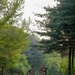 Soldiers enjoy early morning ruck march