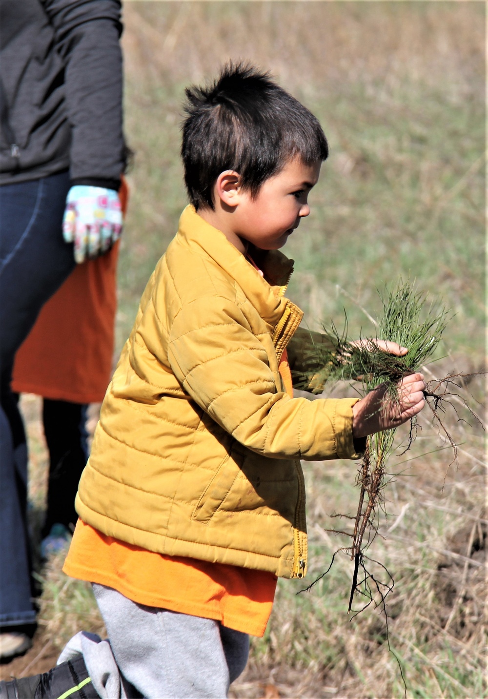 Fort McCoy holds 31st Arbor Day observance, 400-plus trees planted