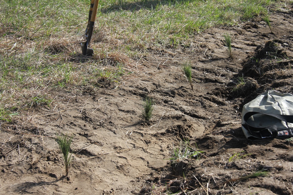 Fort McCoy holds 31st Arbor Day observance, 400-plus trees planted