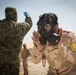 Iraqi Army CBRN Training