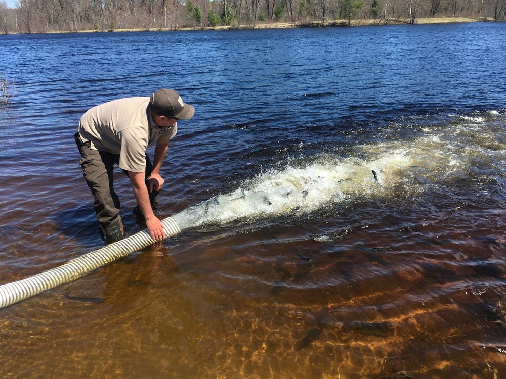 USFWS plants 15,000-plus rainbow trout at Fort McCoy for 2019 fishing season