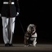 Marine Barracks Washington Holds Evening Parade