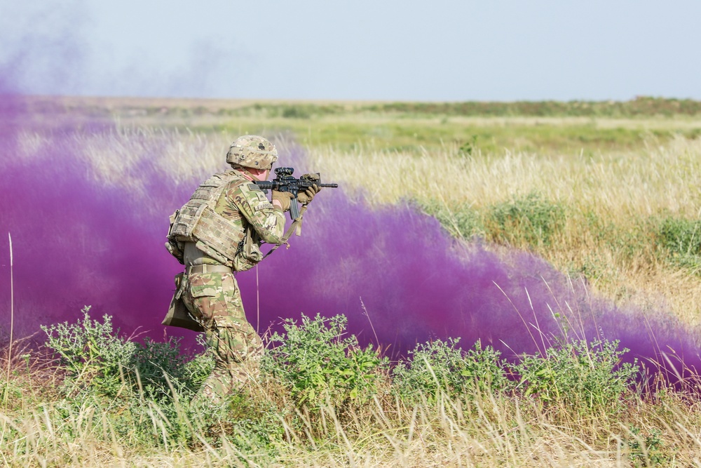 Team Live Fire Exercise