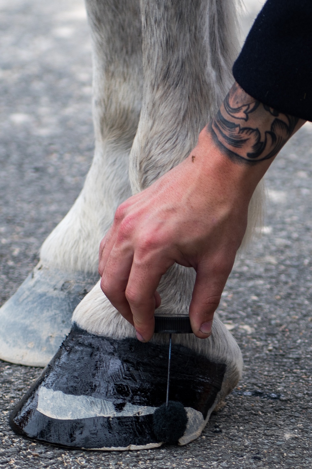 Caisson at Twilight Tattoo
