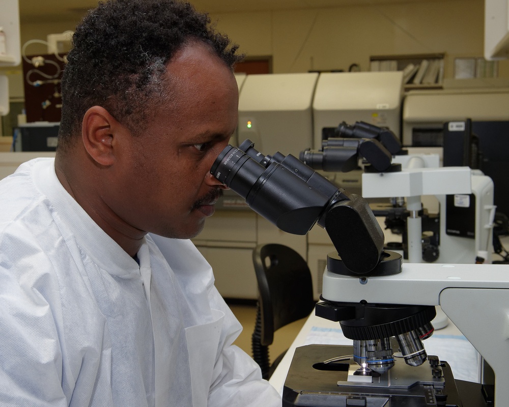 Hospital Corpsman Examines Specimens at Naval Hospital Camp Pendleton's Lab