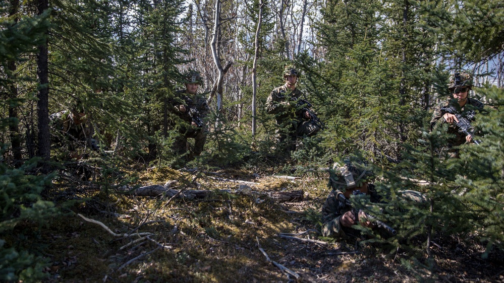 Exercise Northern Edge