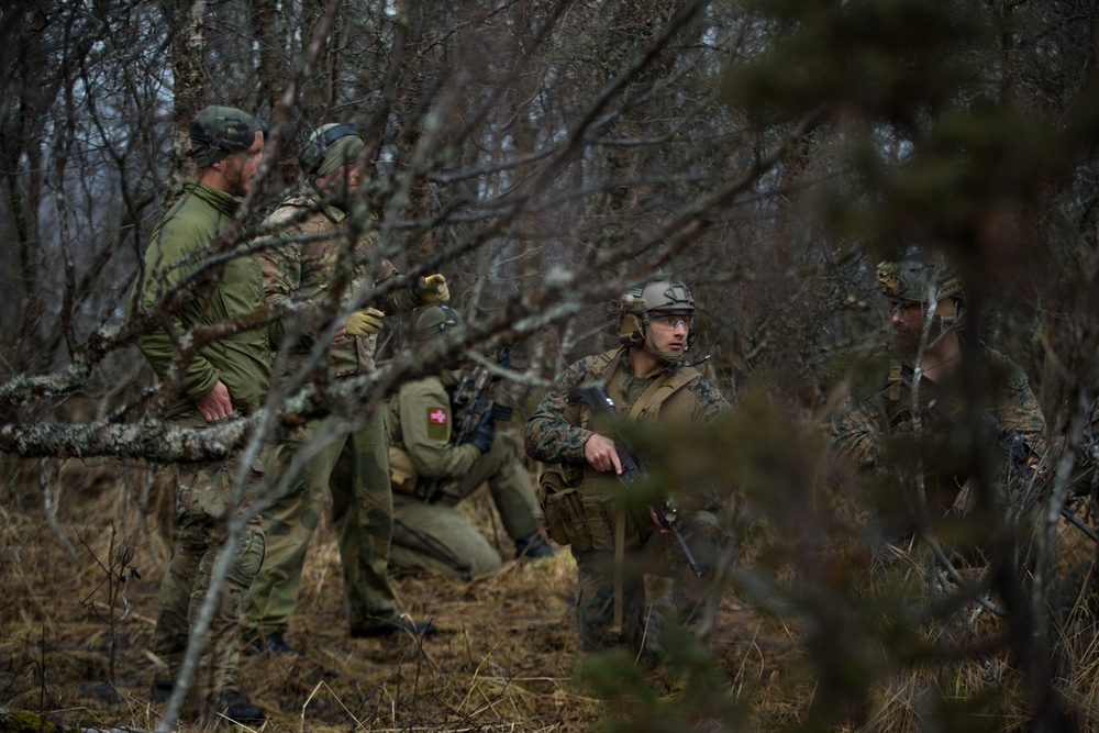 U.S. Marines, Norwegian Coastal Ranger Commando Conduct Patrols Platinum Ren 2019