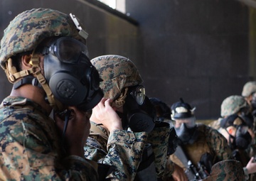 Marine and Sailors take part in the annual 2nd MLG squad Competition
