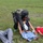 The image depicts what appears to be an emergency response or disaster drill exercise taking place on a grass field. A person in protective gear and a gas mask is attending to simulated casualties lying on the ground. The individuals on the ground appear to have simulated injury makeup and are wearing triage tags, consistent with a mass casualty exercise.