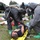 This image depicts a CBRN (Chemical, Biological, Radiological, Nuclear) emergency response training exercise. Personnel in full hazmat suits with gas masks and green rubber boots are triaging and loading simulated casualties onto stretchers. Multiple 'victims' are lying on the grass while responders work systematically through the scene, with military tents and a media camera crew visible in the background.