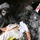 Military or emergency response personnel wearing full CBRN (Chemical, Biological, Radiological, Nuclear) protective suits and gas masks are conducting a medical training exercise. They are treating a medical training mannequin on a stretcher inside what appears to be a military tent or field shelter. The scene depicts a simulated casualty care drill under hazardous conditions.