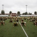 U.S. Marines participate in the Staff Noncommissioned Officer Academy Director's Cup Challenge