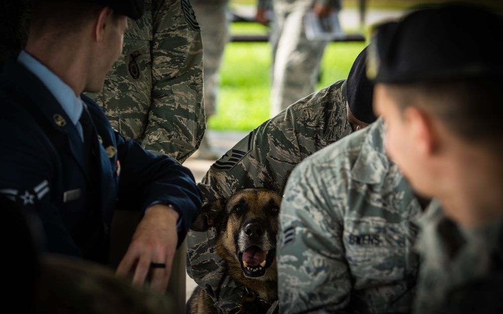K9 Jack: A dog gone good Defender