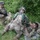 Exercise Immediate Response
