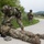 Exercise Immediate Response