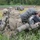 Exercise Immediate Response