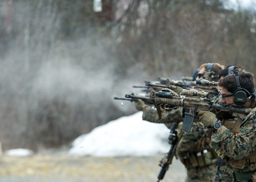U.S. Marines, Norwegian Coastal Ranger Commando Execute Combat Marksmanship Drills Platinum Ren 2019