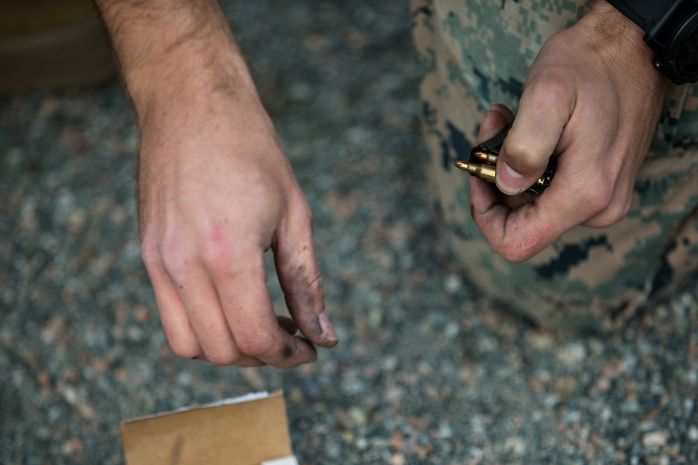 U.S. Marines, Norwegian Coastal Ranger Commando Execute Combat Marksmanship Drills Platinum Ren 2019