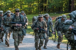 Georgia Leads the Way