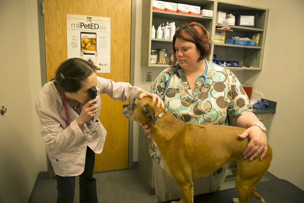 Veterinary Clinic keeps animals on Whiteman AFB moving