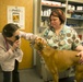 Veterinary Clinic keeps animals on Whiteman AFB moving