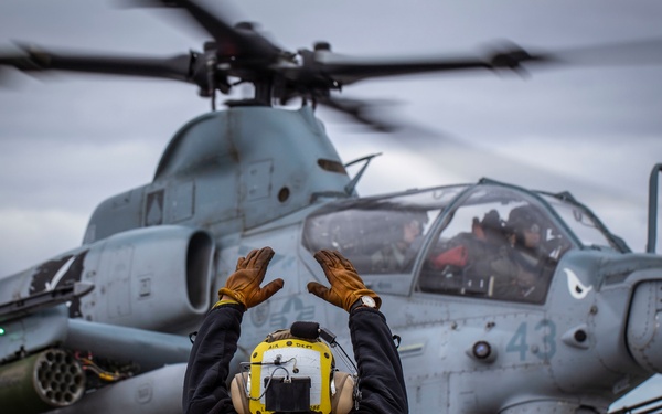 Evil Eyes Flying High