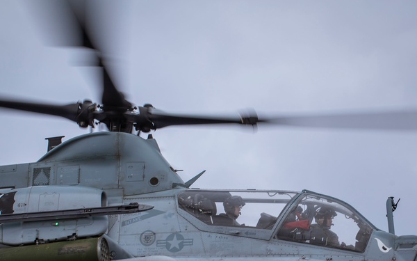 Evil Eyes Flying High