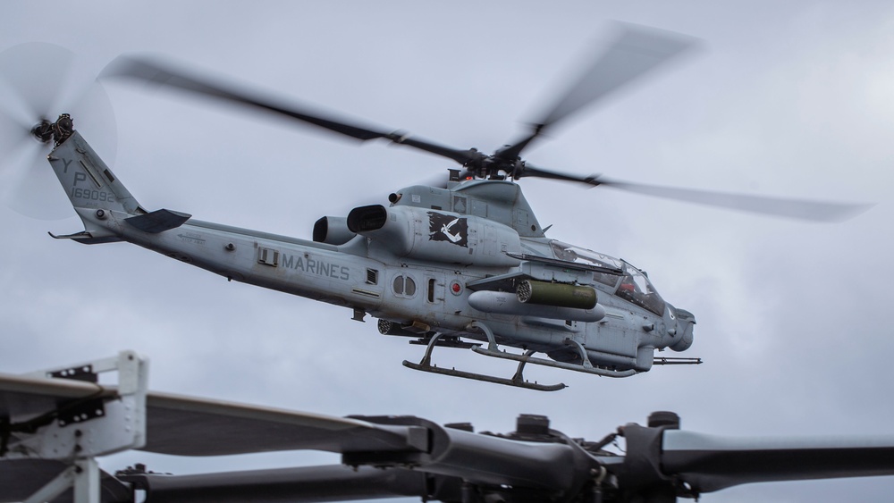 Evil Eyes Flying High