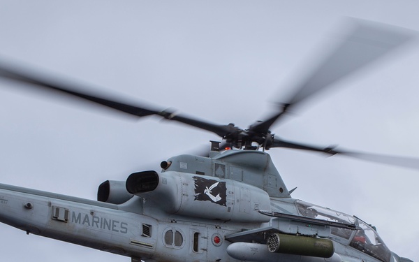 Evil Eyes Flying High