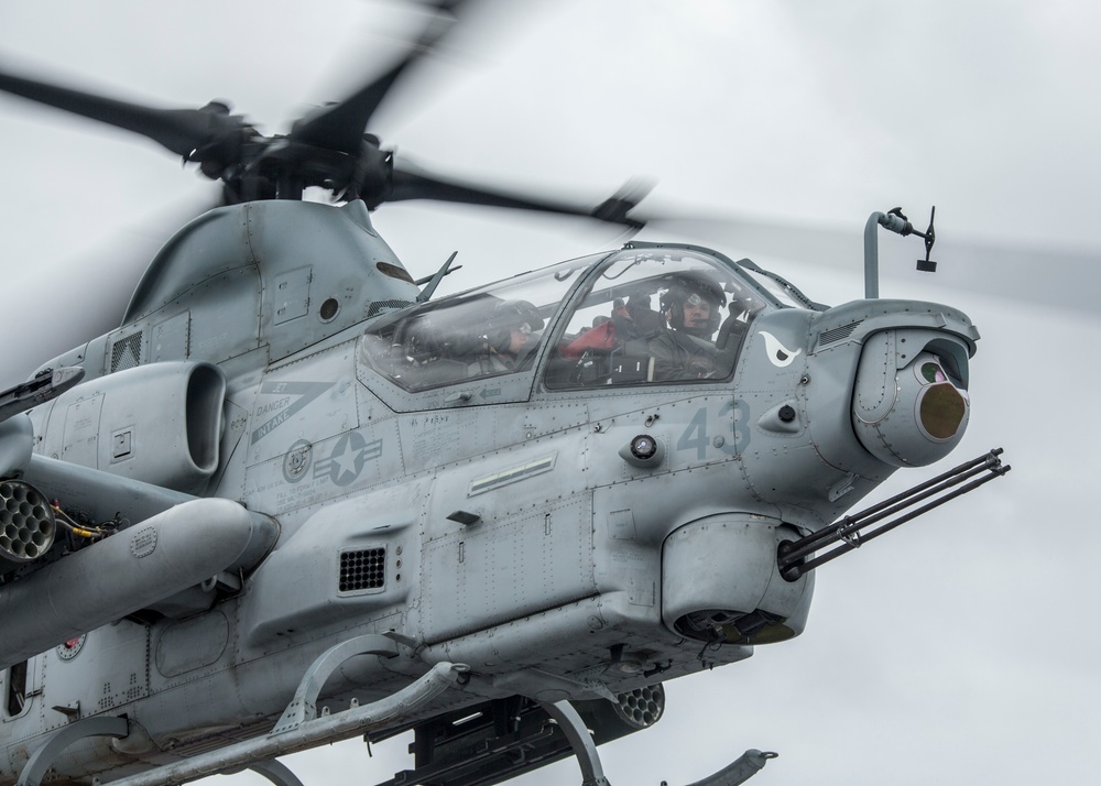 Evil Eyes Flying High