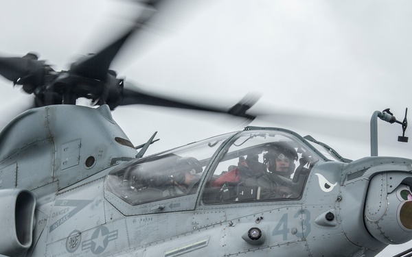 Evil Eyes Flying High