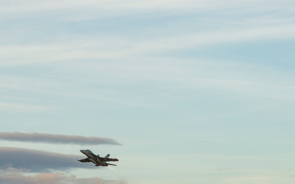 Navy Super Hornets Take Flight with Idaho Air National Guard A-10s