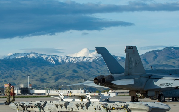 Navy Super Hornets Take Flight with Idaho Air National Guard A-10s