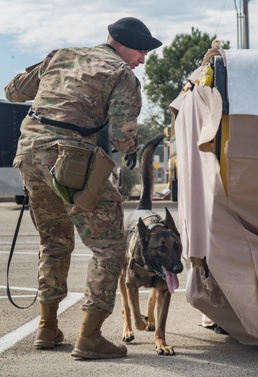 Laughlin K-9s come to the rescue when evildoers bark up the wrong tree