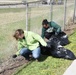Cleaning Crow Creek