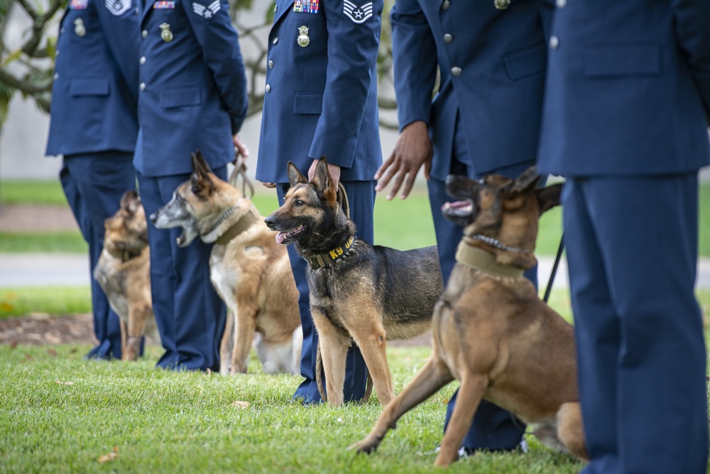 Military Funeral Honors with Funeral Escort for Petty Officer 2nd Class Michael Brodsky in Section 60 of Arlington National Cemetery