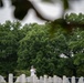 Military Funeral Honors with Funeral Escort for Petty Officer 2nd Class Michael Brodsky in Section 60 of Arlington National Cemetery