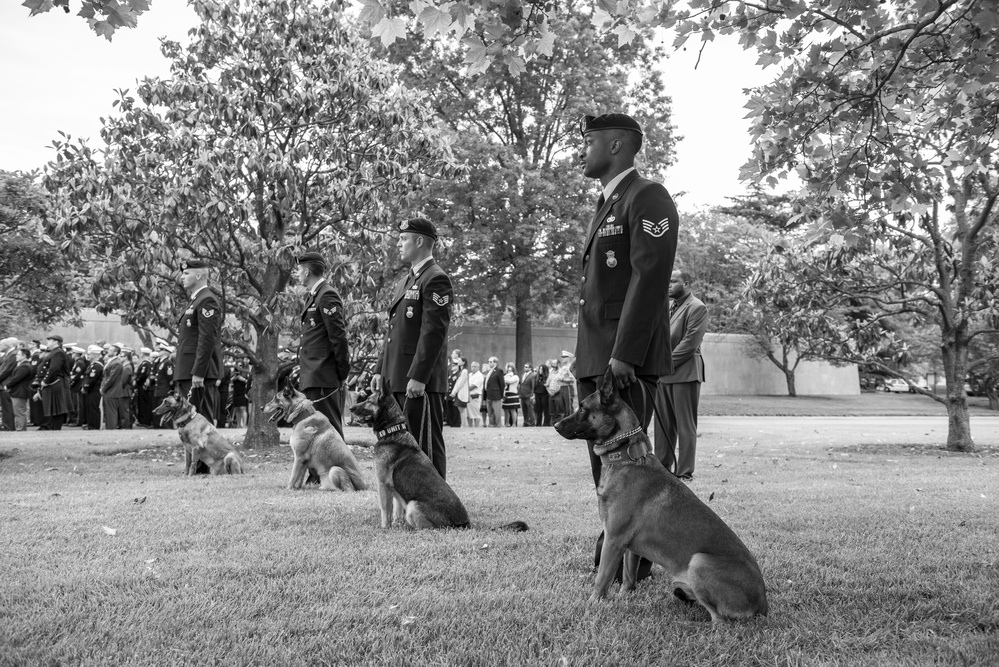 Military Funeral Honors with Funeral Escort for Petty Officer 2nd Class Michael Brodsky in Section 60 of Arlington National Cemetery