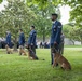 Military Funeral Honors with Funeral Escort for Petty Officer 2nd Class Michael Brodsky in Section 60 of Arlington National Cemetery