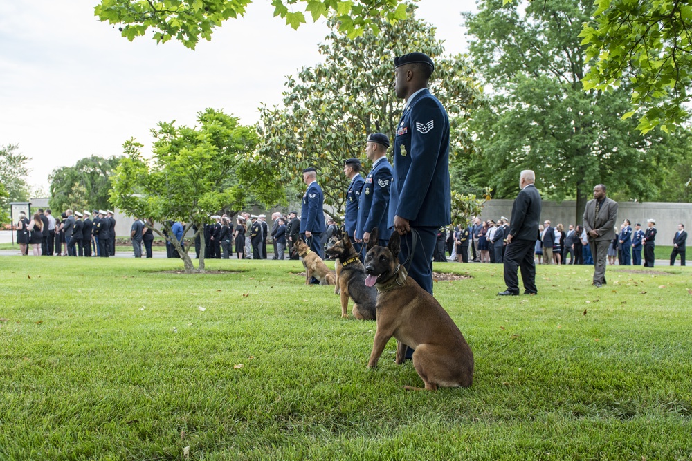 Military Funeral Honors with Funeral Escort for Petty Officer 2nd Class Michael Brodsky in Section 60 of Arlington National Cemetery