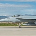 Navy Super Hornets Take Flight with Idaho Air National Guard A-10s