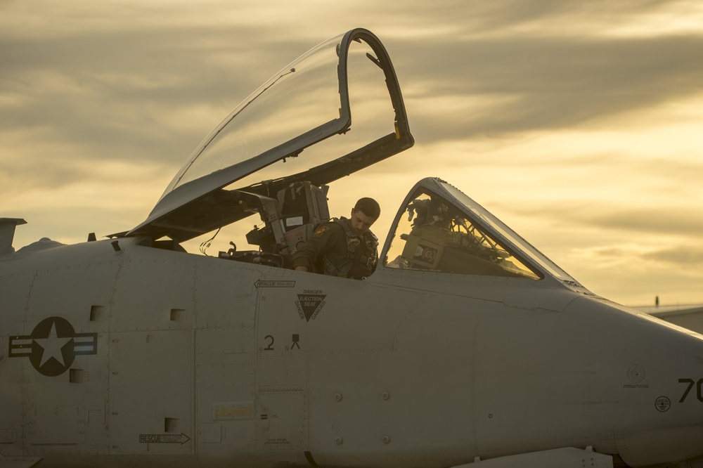 Navy Super Hornets Take Flight with Idaho Air National Guard A-10s