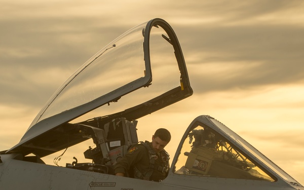 Navy Super Hornets Take Flight with Idaho Air National Guard A-10s