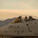 Navy Super Hornets Take Flight with Idaho Air National Guard A-10s