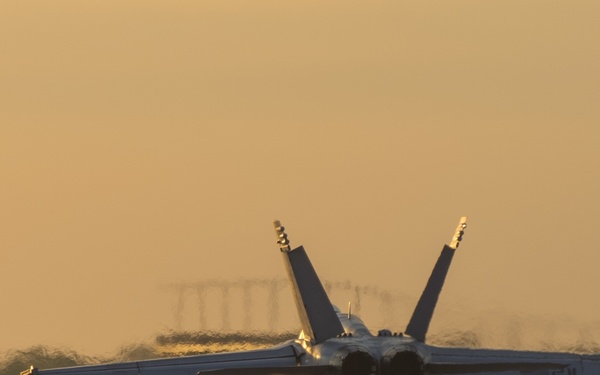 Navy Super Hornets Take Flight with Idaho Air National Guard A-10s