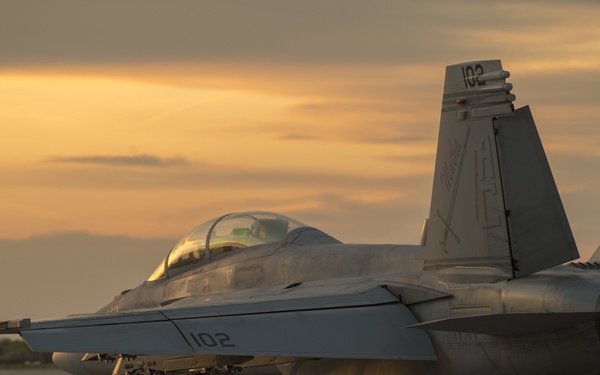 Navy Super Hornets Take Flight with Idaho Air National Guard A-10s